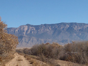 Sandias from Alameda